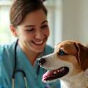 Animaux et propriétaires reçus avec attention.