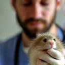 David et son hamster à la clinique.